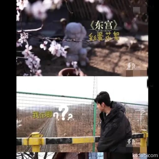 《忘川风华录》捕捉萌宠秘籍:猫眼使用技巧 《忘川风华录》捕捉萌宠秘籍:猫眼使用技巧